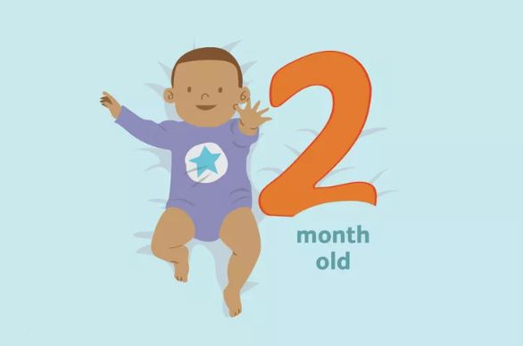 2 Aylık Bebek Gelişimi ( İlk Keşifler )